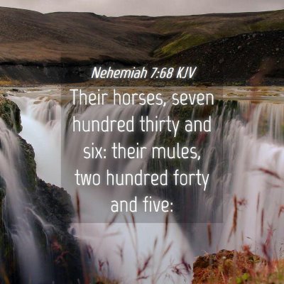 Picture 04 - Nehemiah 7:68 KJV - Their horses, seven hundred thirty and six: their - Bible Verse Picture