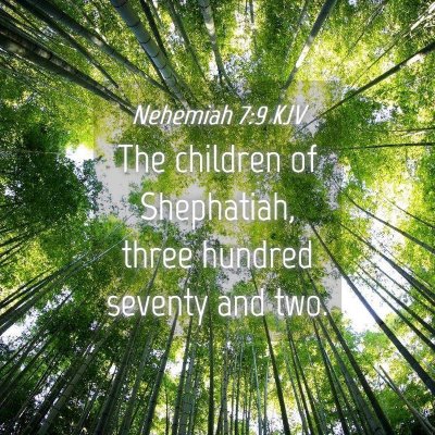 Picture 04 - Nehemiah 7:9 KJV - The children of Shephatiah, three hundred seventy - Bible Verse Picture