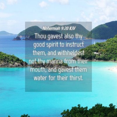 Picture 04 - Nehemiah 9:20 KJV - Thou gavest also thy good spirit to instruct - Bible Verse Picture