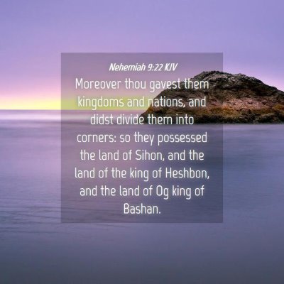 Picture 04 - Nehemiah 9:22 KJV - Moreover thou gavest them kingdoms and nations, - Bible Verse Picture