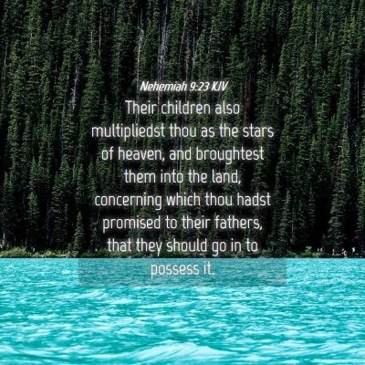 Picture 04 - Nehemiah 9:23 KJV - Their children also multipliedst thou as the - Bible Verse Picture