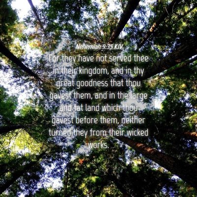 Picture 04 - Nehemiah 9:35 KJV - For they have not served thee in their kingdom, - Bible Verse Picture