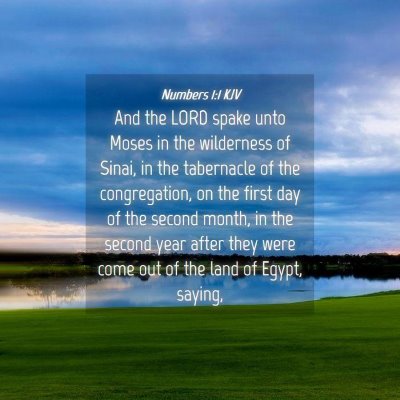 Picture 04 - Numbers 1:1 KJV - And the LORD spake unto Moses in the wilderness - Bible Verse Picture