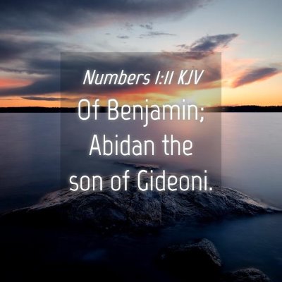 Picture 04 - Numbers 1:11 KJV - Of Benjamin; Abidan the son of - Bible Verse Picture