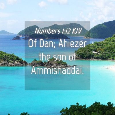 Picture 04 - Numbers 1:12 KJV - Of Dan; Ahiezer the son of - Bible Verse Picture