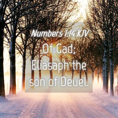 Picture 04 - Numbers 1:14 KJV - Of Gad; Eliasaph the son of - Bible Verse Picture