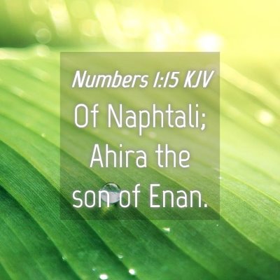Picture 04 - Numbers 1:15 KJV - Of Naphtali; Ahira the son of - Bible Verse Picture