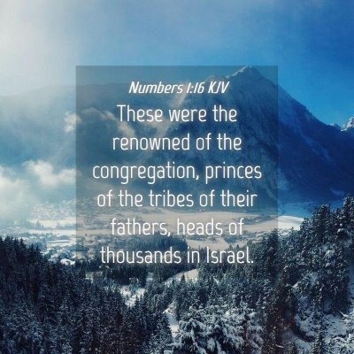Picture 04 - Numbers 1:16 KJV - These were the renowned of the congregation, - Bible Verse Picture