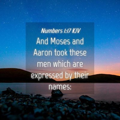 Picture 04 - Numbers 1:17 KJV - And Moses and Aaron took these men which are - Bible Verse Picture