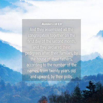 Picture 04 - Numbers 1:18 KJV - And they assembled all the congregation together - Bible Verse Picture