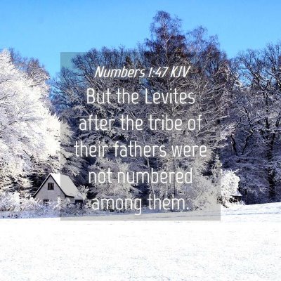 Picture 04 - Numbers 1:47 KJV - But the Levites after the tribe of their fathers - Bible Verse Picture