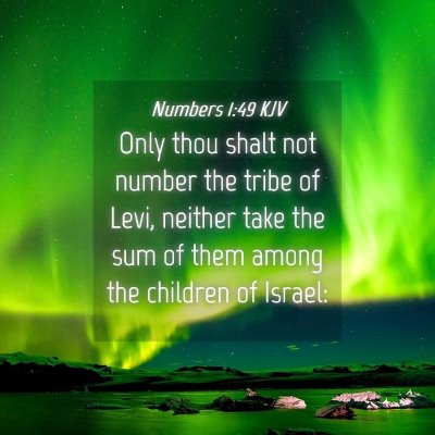 Picture 04 - Numbers 1:49 KJV - Only thou shalt not number the tribe of Levi, - Bible Verse Picture
