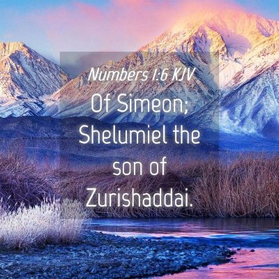 Picture 04 - Numbers 1:6 KJV - Of Simeon; Shelumiel the son of - Bible Verse Picture