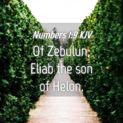Picture 04 - Numbers 1:9 KJV - Of Zebulun; Eliab the son of - Bible Verse Picture