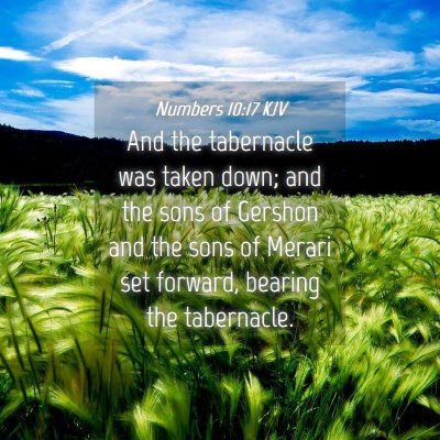 Picture 04 - Numbers 10:17 KJV - And the tabernacle was taken down; and the sons - Bible Verse Picture