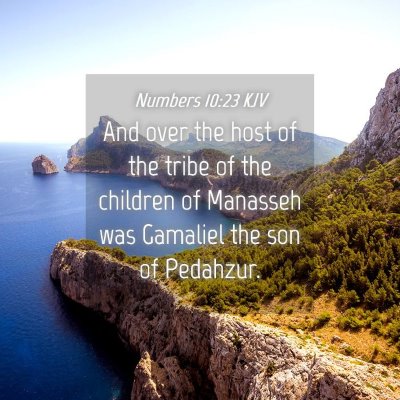 Picture 04 - Numbers 10:23 KJV - And over the host of the tribe of the children of - Bible Verse Picture