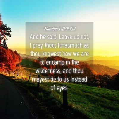 Picture 04 - Numbers 10:31 KJV - And he said, Leave us not, I pray thee; forasmuch - Bible Verse Picture