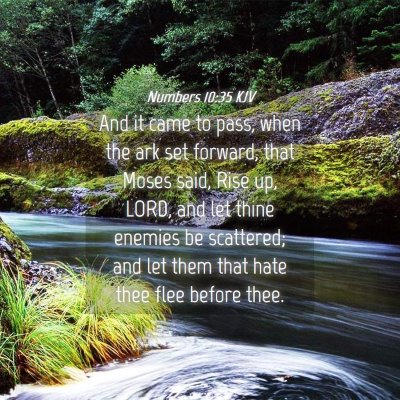 Picture 04 - Numbers 10:35 KJV - And it came to pass, when the ark set forward, - Bible Verse Picture