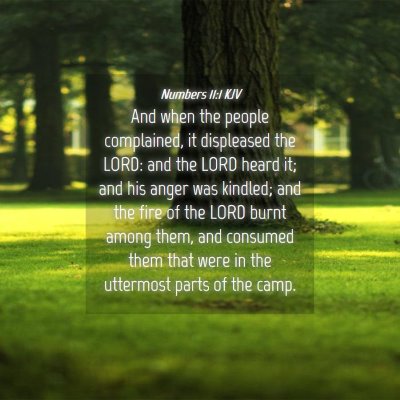 Picture 04 - Numbers 11:1 KJV - And when the people complained, it displeased the - Bible Verse Picture
