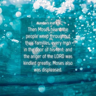 Picture 04 - Numbers 11:10 KJV - Then Moses heard the people weep throughout their - Bible Verse Picture