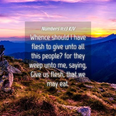Picture 04 - Numbers 11:13 KJV - Whence should I have flesh to give unto all this - Bible Verse Picture
