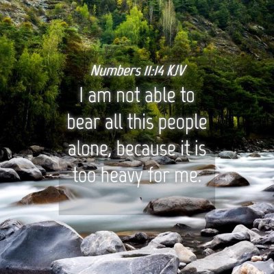 Picture 04 - Numbers 11:14 KJV - I am not able to bear all this people alone, - Bible Verse Picture