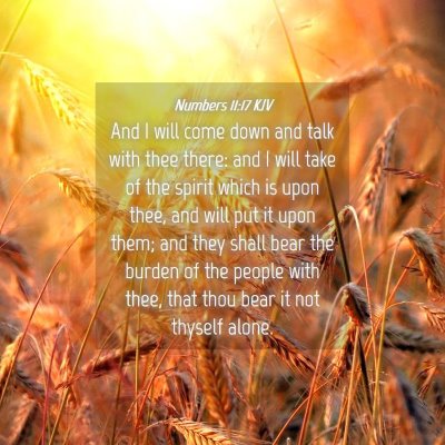 Picture 04 - Numbers 11:17 KJV - And I will come down and talk with thee there: - Bible Verse Picture