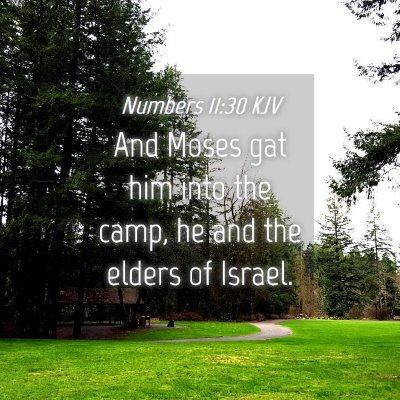 Picture 04 - Numbers 11:30 KJV - And Moses gat him into the camp, he and the - Bible Verse Picture