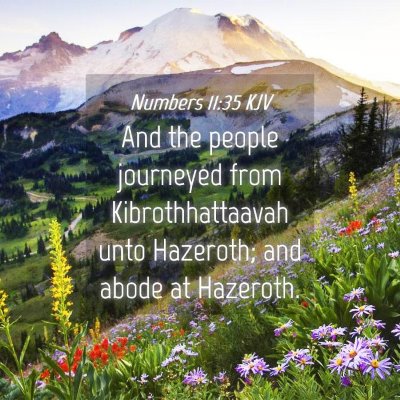 Picture 04 - Numbers 11:35 KJV - And the people journeyed from Kibrothhattaavah - Bible Verse Picture