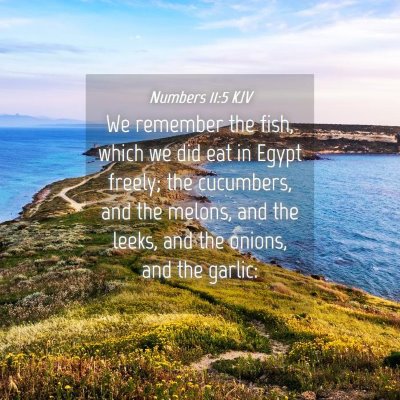 Picture 04 - Numbers 11:5 KJV - We remember the fish, which we did eat in Egypt - Bible Verse Picture