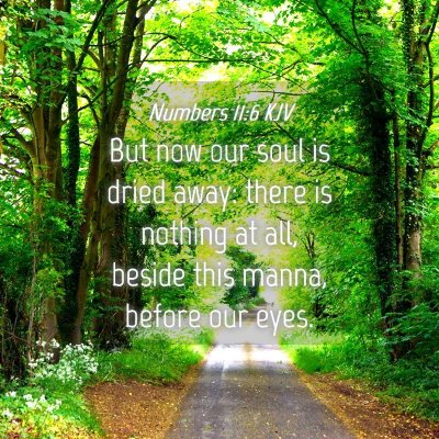 Picture 04 - Numbers 11:6 KJV - But now our soul is dried away: there is nothing - Bible Verse Picture