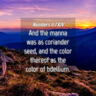 Picture 04 - Numbers 11:7 KJV - And the manna was as coriander seed, and the - Bible Verse Picture