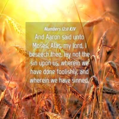 Picture 04 - Numbers 12:11 KJV - And Aaron said unto Moses, Alas, my lord, I - Bible Verse Picture