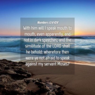 Picture 04 - Numbers 12:8 KJV - With him will I speak mouth to mouth, even - Bible Verse Picture
