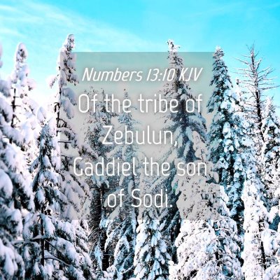 Picture 04 - Numbers 13:10 KJV - Of the tribe of Zebulun, Gaddiel the son of - Bible Verse Picture