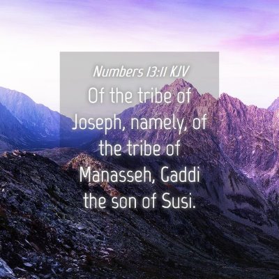 Picture 04 - Numbers 13:11 KJV - Of the tribe of Joseph, namely, of the tribe of - Bible Verse Picture