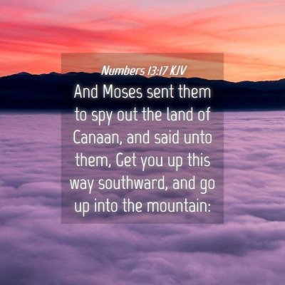 Picture 04 - Numbers 13:17 KJV - And Moses sent them to spy out the land of - Bible Verse Picture