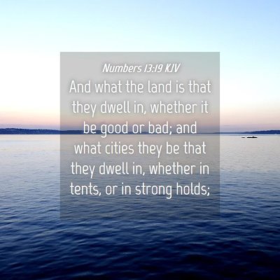 Picture 04 - Numbers 13:19 KJV - And what the land is that they dwell in, whether - Bible Verse Picture