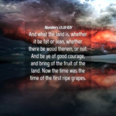 Picture 04 - Numbers 13:20 KJV - And what the land is, whether it be fat or lean, - Bible Verse Picture
