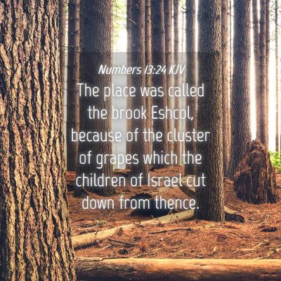 Picture 04 - Numbers 13:24 KJV - The place was called the brook Eshcol, because of - Bible Verse Picture