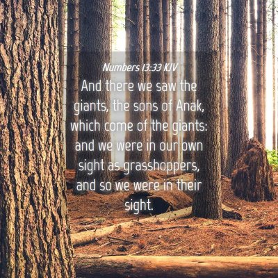 Picture 04 - Numbers 13:33 KJV - And there we saw the giants, the sons of Anak, - Bible Verse Picture