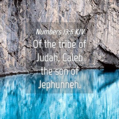 Picture 04 - Numbers 13:6 KJV - Of the tribe of Judah, Caleb the son of - Bible Verse Picture