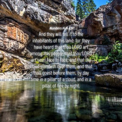 Picture 04 - Numbers 14:14 KJV - And they will tell it to the inhabitants of this - Bible Verse Picture