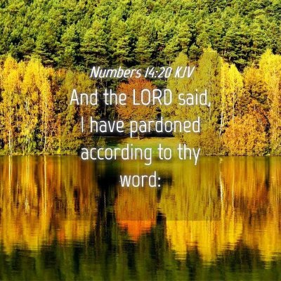 Picture 04 - Numbers 14:20 KJV - And the LORD said, I have pardoned according to - Bible Verse Picture