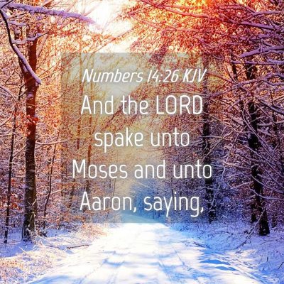 Picture 04 - Numbers 14:26 KJV - And the LORD spake unto Moses and unto Aaron, - Bible Verse Picture