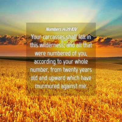 Picture 04 - Numbers 14:29 KJV - Your carcasses shall fall in this wilderness; and - Bible Verse Picture