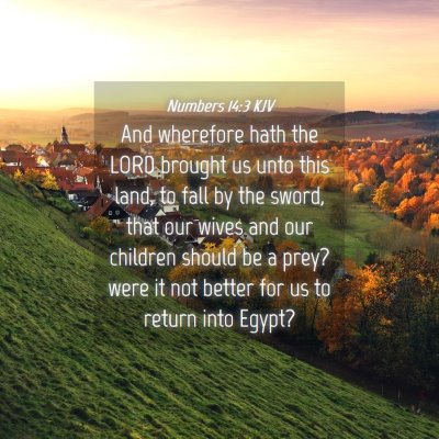 Picture 04 - Numbers 14:3 KJV - And wherefore hath the LORD brought us unto this - Bible Verse Picture