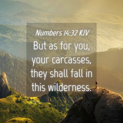 Picture 04 - Numbers 14:32 KJV - But as for you, your carcasses, they shall fall - Bible Verse Picture
