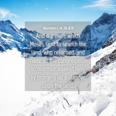 Picture 04 - Numbers 14:36 KJV - And the men, which Moses sent to search the land, - Bible Verse Picture