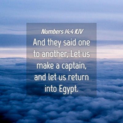 Picture 04 - Numbers 14:4 KJV - And they said one to another, Let us make a - Bible Verse Picture